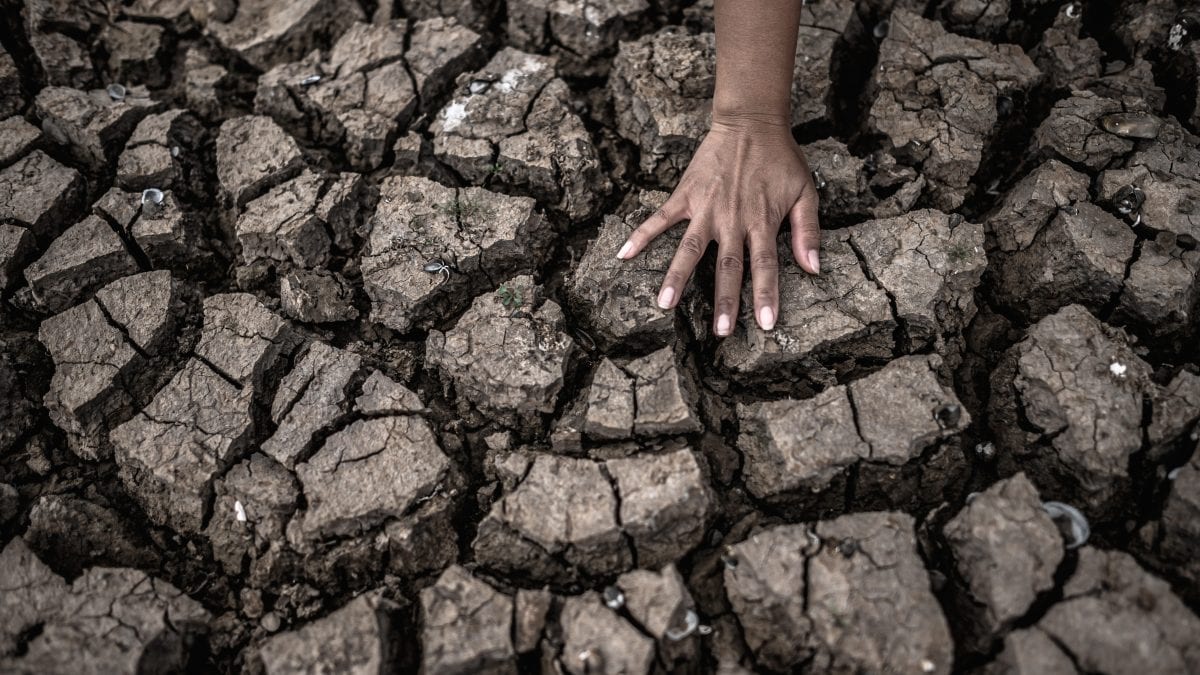 Le mois de mars le plus chaud de tous vient de se terminer : depuis dix mois, les températures dépassent les limites 2 Image