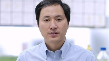 Le scientifique chinois ayant créé des bébés génétiquement modifiés reprend ses travaux sur le génome humain 22 Le scientifique chinois He Jiankui, emprisonné pour avoir créé les premiers enfants génétiquement modifiés / Crédit : Wikipedia