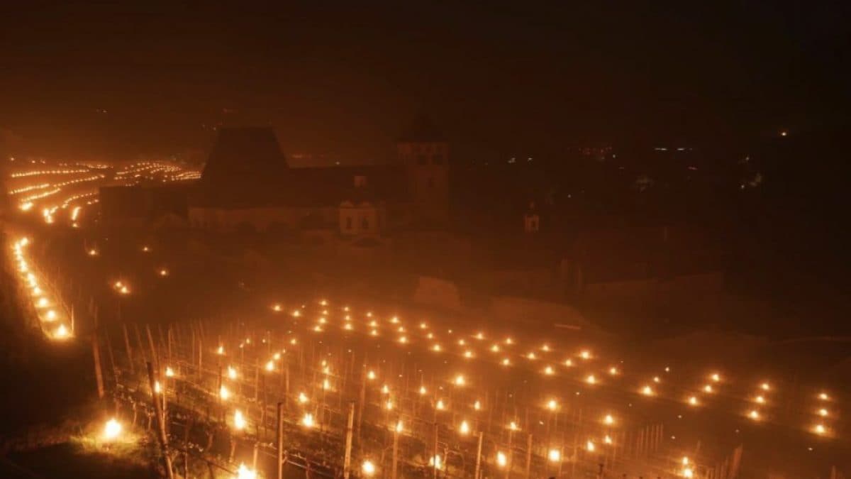 Les champs se remplissent de torches allumées contre le froid : les images magiques de l'Alto Adige 2 Image