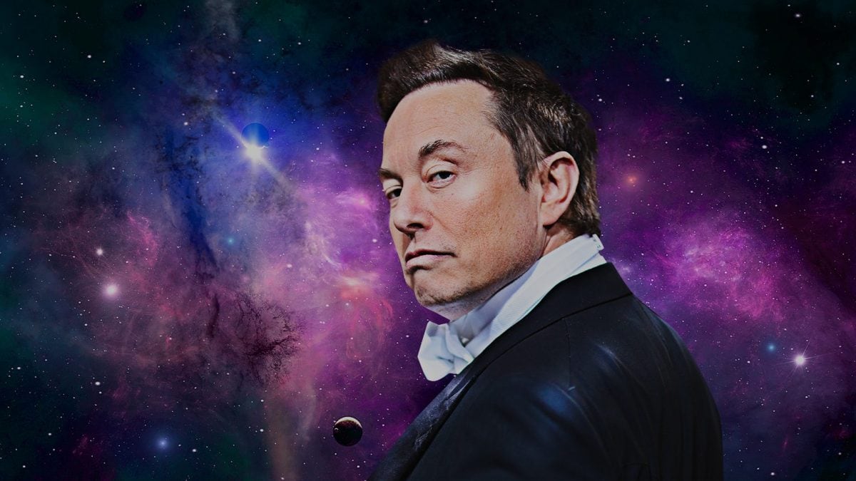Les nouvelles de la semaine sur l'intelligence artificielle : la prophétie de Musk et la révolution Google 2 elon musk news