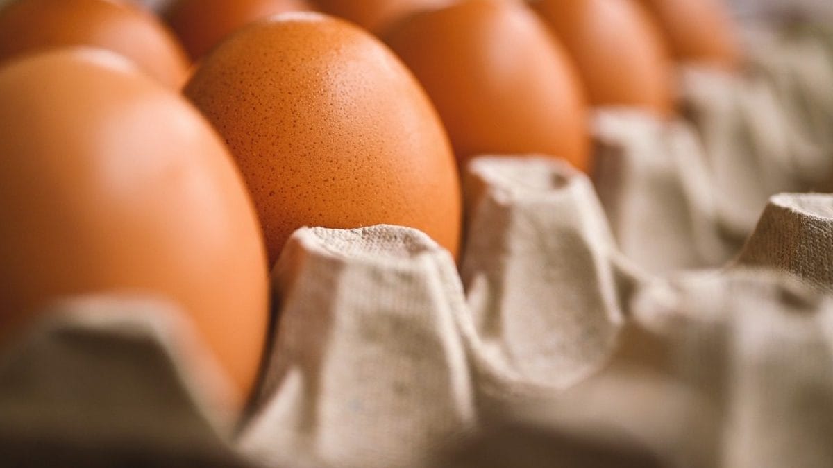 Les œufs ne font pas augmenter le cholestérol, selon une nouvelle étude 2 Image