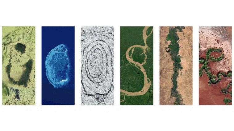 Les progrès contre le changement climatique, les images pour la Journée de la Terre dans le doodle de Google 1 Les progrès faits contre le changement climatique montrés dans les images du doodle de Google / Crédit : Google