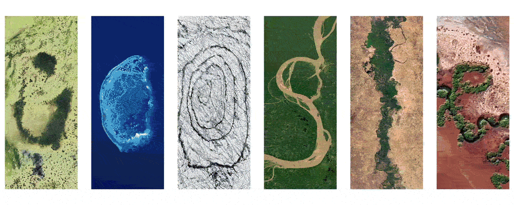 Les progrès contre le changement climatique, les images pour la Journée de la Terre dans le doodle de Google 3 Le doodle dynamique de Google pour la Journée de la Terre 2024 / Crédit : Google