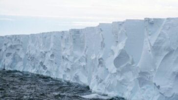 L'iceberg le plus grand du monde peut-être dirigé vers les côtes d'une île : quels sont les risques 28 Immagine