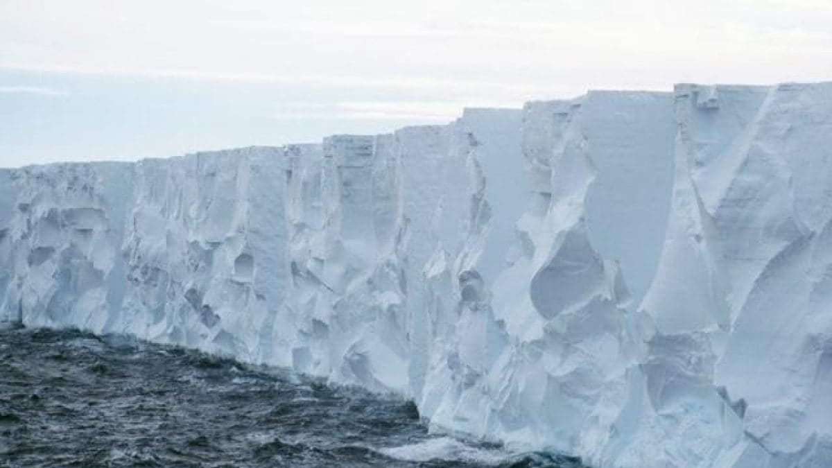 L'iceberg le plus grand du monde peut-être dirigé vers les côtes d'une île : quels sont les risques 2 Immagine