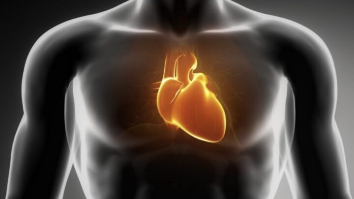 Nouvelle technique permettant aux smartphones de détecter l'insuffisance cardiaque 2 Nouvelle technique permettant aux smartphones de detecter linsuffisance cardiaque