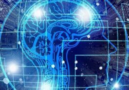 Que faire pour prévenir la démence : les 7 gestes qui maintiennent le cerveau en bonne santé selon les experts 114 Image