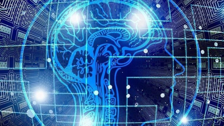 Que faire pour prévenir la démence : les 7 gestes qui maintiennent le cerveau en bonne santé selon les experts 1 Image