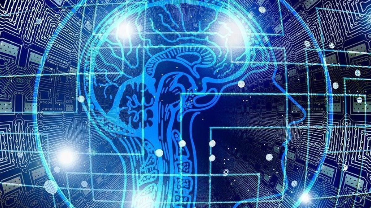 Que faire pour prévenir la démence : les 7 gestes qui maintiennent le cerveau en bonne santé selon les experts 2 Image