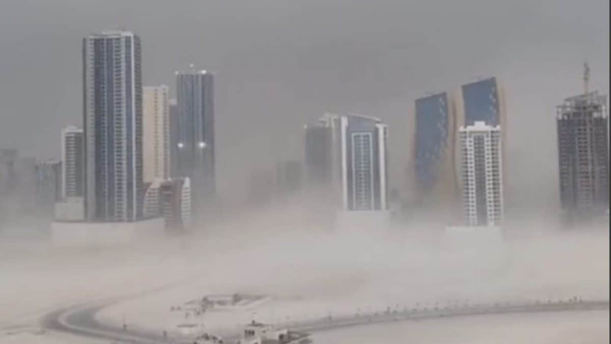 Quel est le véritable rôle des précipitations artificielles dans les inondations de Dubaï : l'analyse de l'experte 2 TIKTOK | Photo de @carolinestanbury