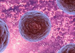 Quels sont les cancers les plus fréquents chez les jeunes: les données de l'OMS 4 Image