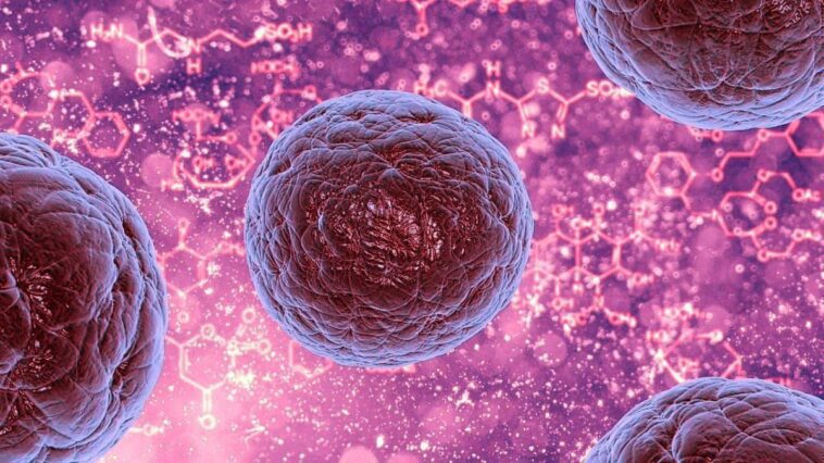 Quels sont les cancers les plus fréquents chez les jeunes: les données de l'OMS 1 Image