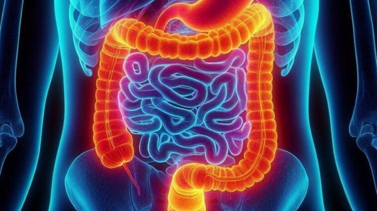 Cancer du côlon, un traitement qui vise des thérapies ciblées : que dit l'étude sur la biopsie liquide 1 I primi sintomi del tumore al colon, secondo gli esperti / Foto credit: Pixabay
