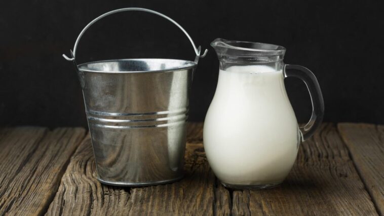 Quels sont les risques des fromages au lait cru : les réponses du médecin sur l'Escherichia coli 1 Immagine
