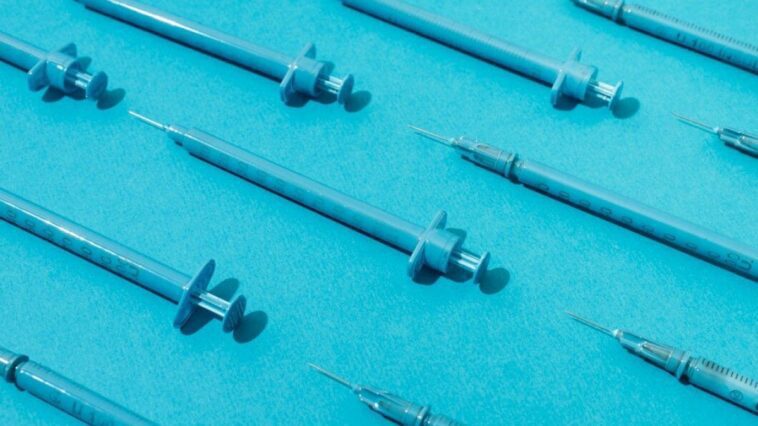 Qu'est-ce que les nitazènes, les médicaments mortels en vente sur les réseaux sociaux : "Expédiés dans des boîtes de nourriture pour chiens" 1 Image