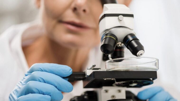 Thérapie génique contre le cancer : une étude a découvert comment la rendre plus efficace 1 Image
