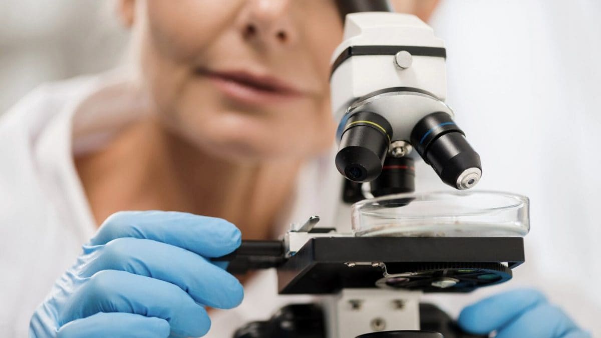 Thérapie génique contre le cancer : une étude a découvert comment la rendre plus efficace 2 Image