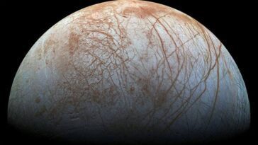 Trouver la vie presque impossible dans l'espace deviendra une réalité: c'est ce que croient les chercheurs 22 Trouver de la vie dans l'espace sera bientôt une réalité : c'est ce que croient les chercheurs