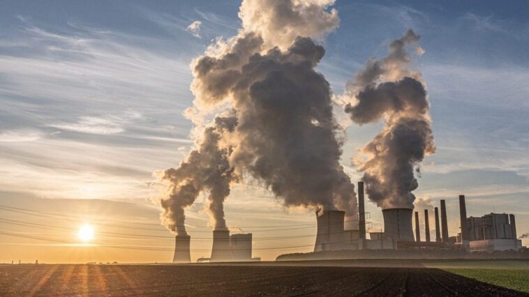 Un matériau nouvellement découvert absorbe le dioxyde de carbone plus rapidement que les arbres 1 Image