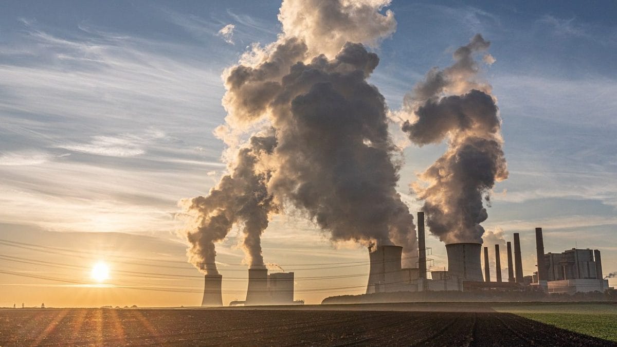 Un matériau nouvellement découvert absorbe le dioxyde de carbone plus rapidement que les arbres 2 Image