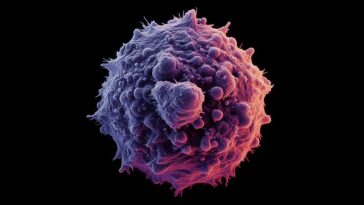 Une nouvelle IA inflige un coup dur au cancer de la métastase. Peut être une grande avancée contre la maladie 2 Une nouvelle IA inflige un coup dur au cancer de la métastase. Cela peut être une grande avancée contre la maladie