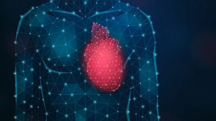 Votre adresse de résidence peut influencer votre santé cardiovasculaire: ce que dit l'étude 1 Immagine
