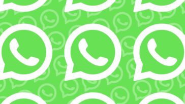 WhatsApp veut simplifier la création et la gestion de vos contacts favoris 20 Conversations préférées des contacts WhatsApp