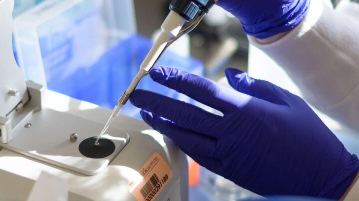 Ce vaccin ARNm a présenté une réponse immunitaire forte contre les tumeurs cérébrales 4 1714663018 799 Le vaccin a ARNm a presente une reponse immunitaire forte