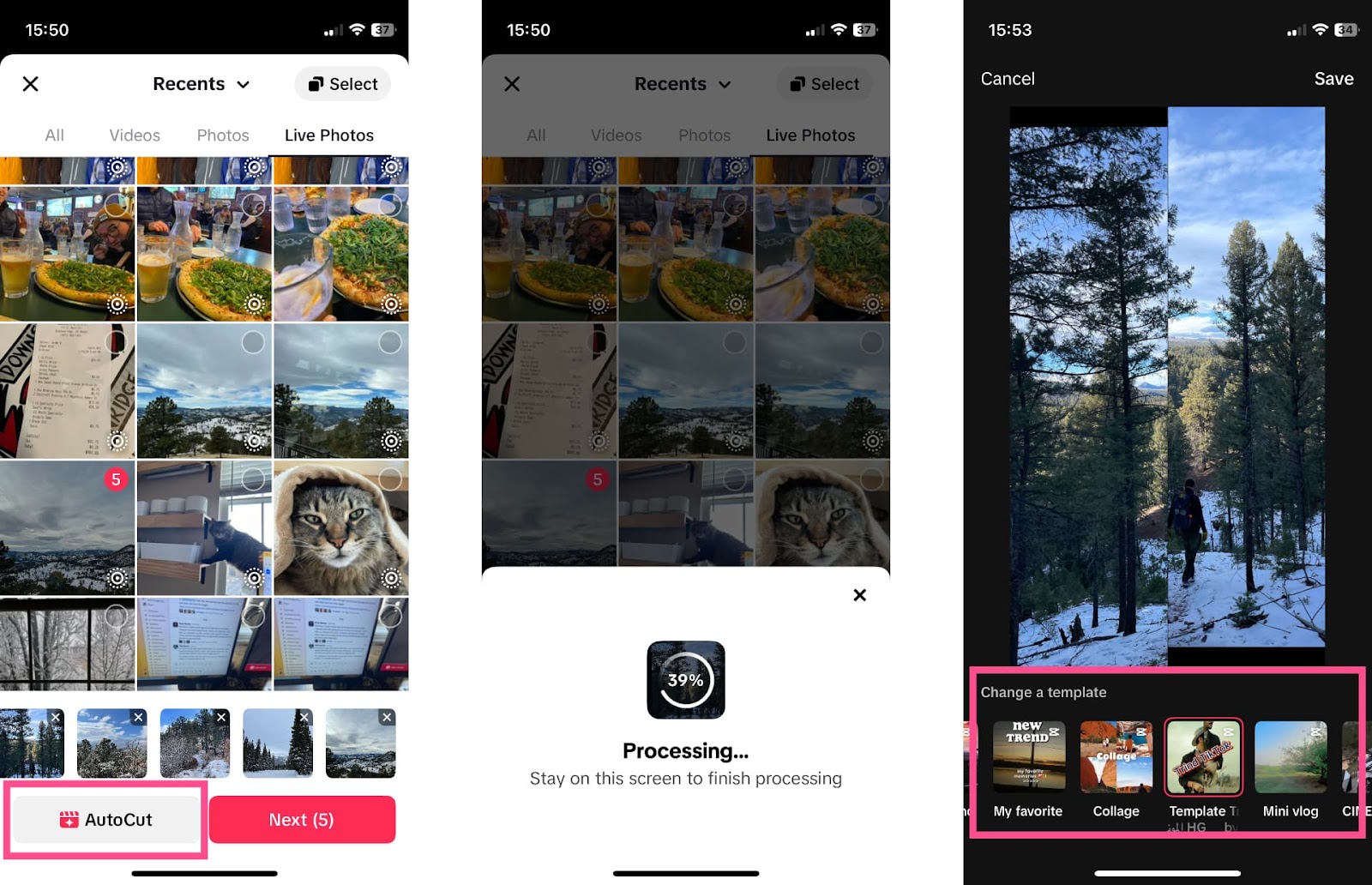 Comment ajouter des photos sur TikTok : 3 solutions pour 2024 12 1714849809 807 Comment ajouter des photos sur TikTok 3 solutions pour
