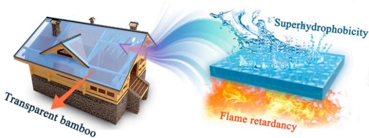 Des scientifiques chinois utilisent le bambou pour créer un verre transparent et résistant au feu 4 1715892265 935 Des scientifiques chinois utilisent le bambou pour creer un verre