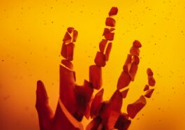 Vanishing act: A quarter of all web pages that existed between 2013 and 2023 are gone