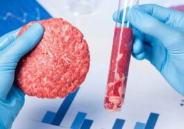 Les États-Unis interdisent la viande cultivée : les raisons derrière cette décision 62 Image