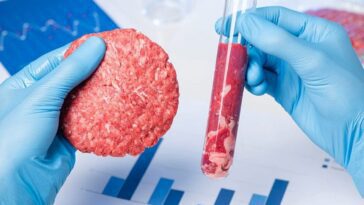 Les États-Unis interdisent la viande cultivée : les raisons derrière cette décision 15 Image