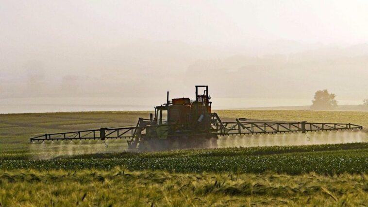 Adieu pesticides, une colle biologique révolutionnaire pourrait les remplacer: comment ça marche 1 Immagine