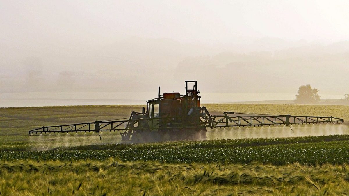 Adieu pesticides, une colle biologique révolutionnaire pourrait les remplacer: comment ça marche 2 Immagine