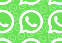 Interface WhatsApp Méta couleurs