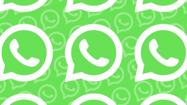 Un nouveau design WhatsApp incolore arrive pour tout le monde 1 Interface WhatsApp Méta couleurs
