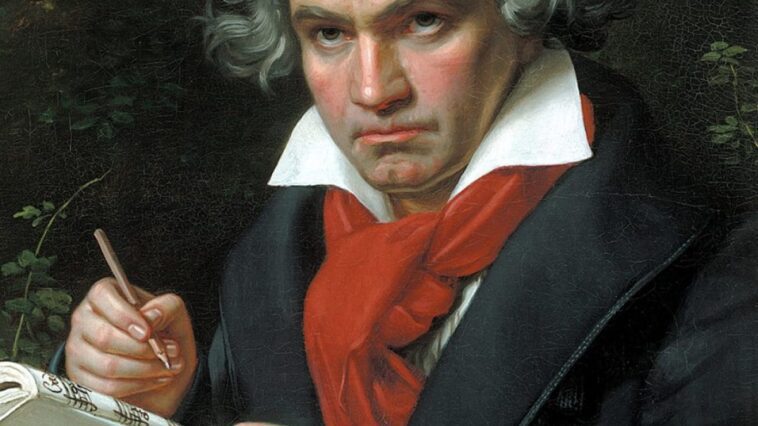 Beethoven est devenu sourd à cause du vin : la réponse dans une mèche de cheveux 1 Immagine