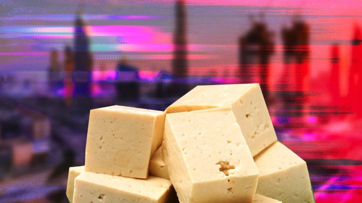 Comment fabriquer le tofu: le "fromage" de soja que l'on peut aussi manger avec de la viande 2 Image