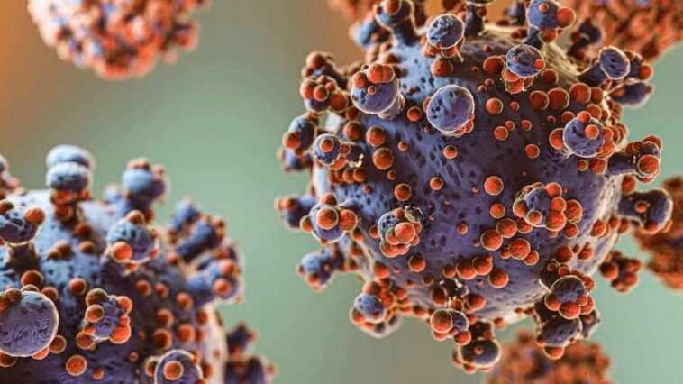 Comment naissent les épidémies : découverts les cinq facteurs qui les déclenchent 1 Immagine