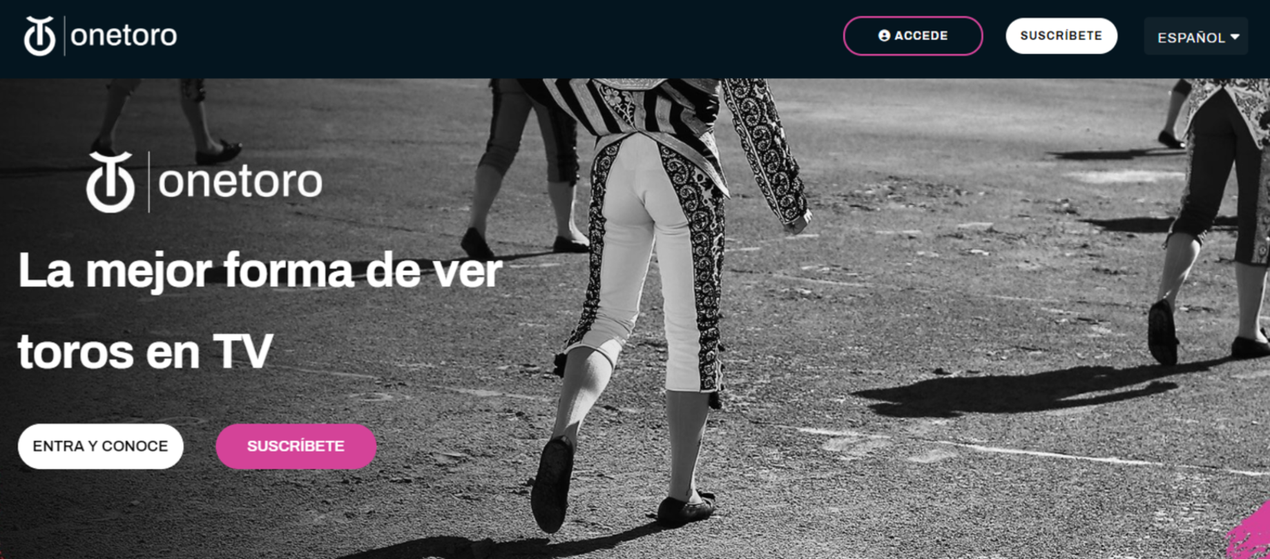 Page d'accueil du site OneToro