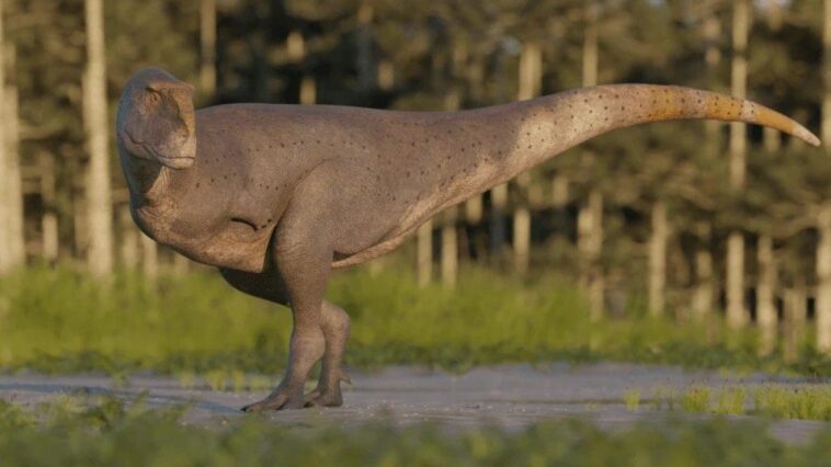 Découverte d'une nouvelle espèce de dinosaure avec des "petits bras" : ils étaient plus petits que ceux du T-rex 1 Reconstruction de la nouvelle espèce de dinosaure. Crédit : Gabriel Díaz Yantén / Dinopedia