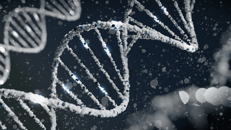 Grand bond en science : l'IA développe un outil pour modifier la génétique humaine 1 Grand saut en science : l'IA développe un outil pour modifier les gènes humains