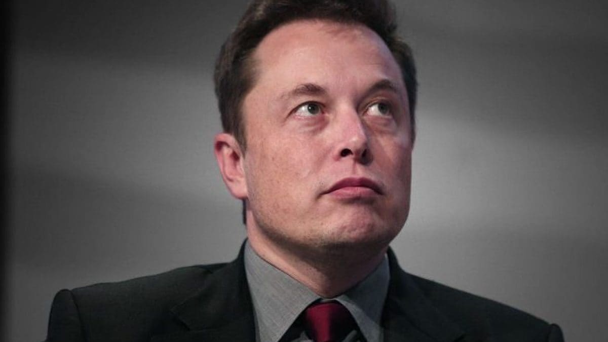 Investissement de 6 milliards de dollars pour le xAI d'Elon Musk : que verrons-nous dans l'avenir de l'IA 2 Image