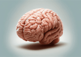 La technologie qui veut que notre cerveau soit éternel existe déjà, mais ce n'est pas aussi simple qu'il n'y paraît