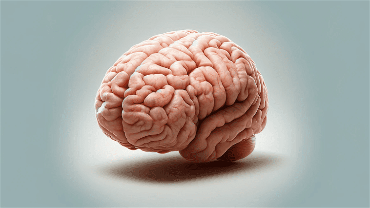 La technologie qui veut rendre notre cerveau éternel existe déjà, mais ce n'est pas si simple que cela 1 La technologie qui veut que notre cerveau soit éternel existe déjà, mais ce n'est pas aussi simple qu'il n'y paraît