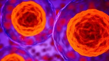 Le cancer pourrait être détecté 7 ans avant le diagnostic: certaines protéines le montrent à l'avance 10 Immagine