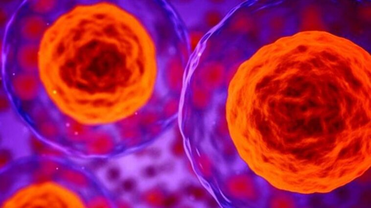 Le cancer pourrait être détecté 7 ans avant le diagnostic: certaines protéines le montrent à l'avance 1 Immagine