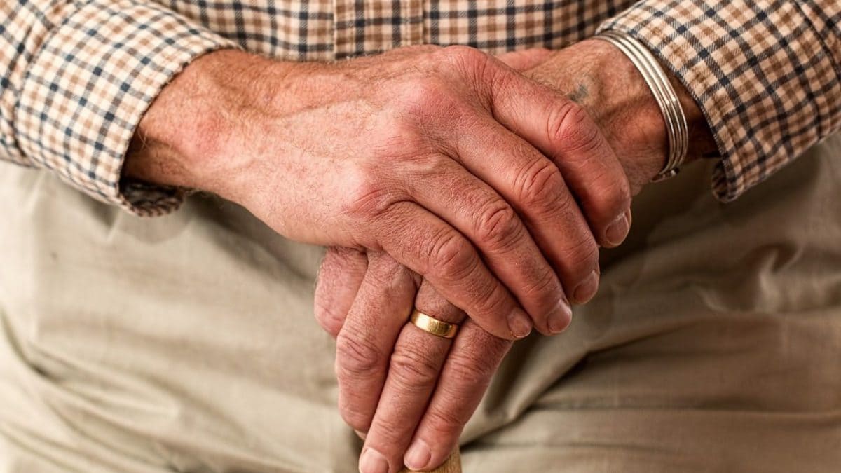 Les cellules de notre corps peuvent "vieillir" de plusieurs années en une seule journée : comment est-ce possible 2 Image