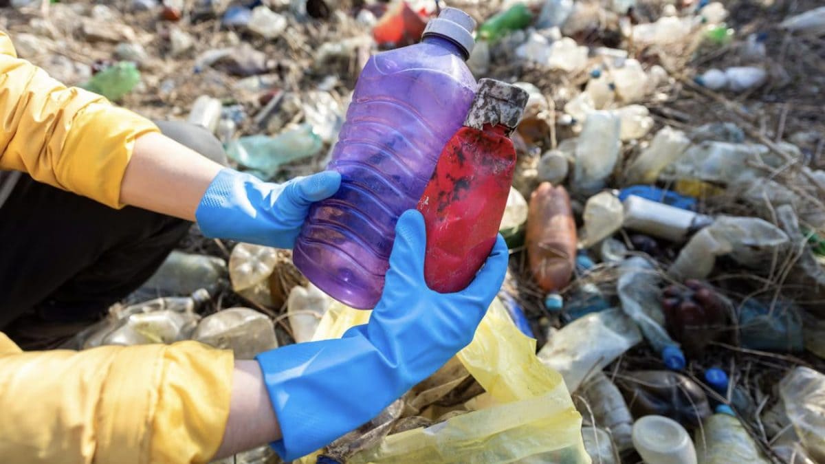 Les objets de ces couleurs produisent plus de microplastiques : lesquels éviter 2 Immagine